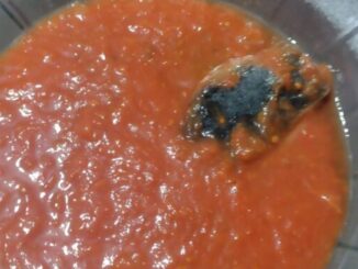 Consumidoras encontram corpo estranho em sachê de molho de tomate
