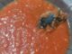 Consumidoras encontram corpo estranho em sachê de molho de tomate