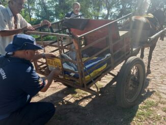 Carroça