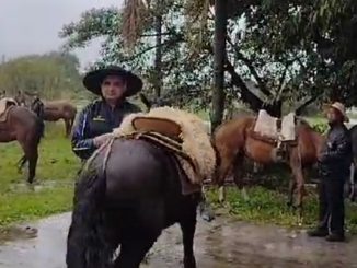 Começou a coleta