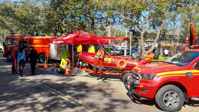Bombeiros (6)