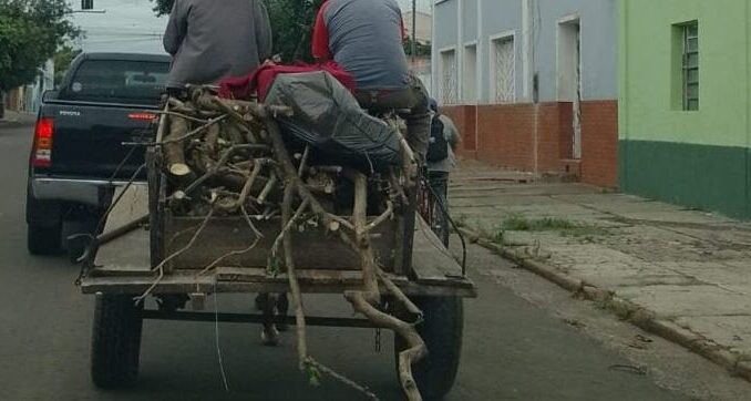 carroça