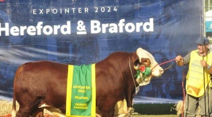 braford