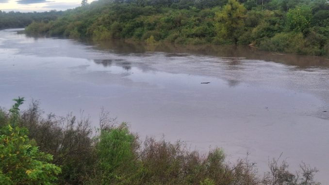 rio rio