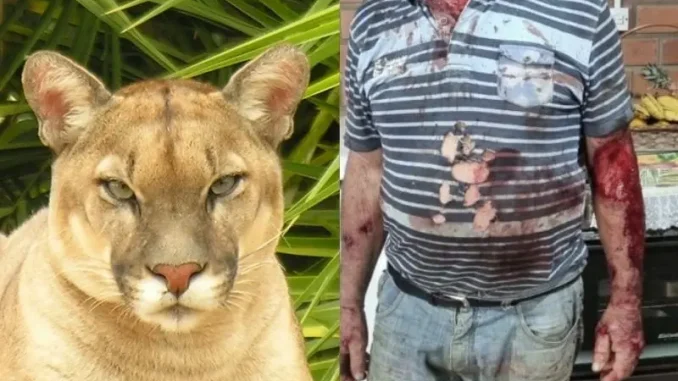 puma maquine