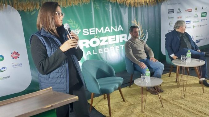 arrozeiro capa