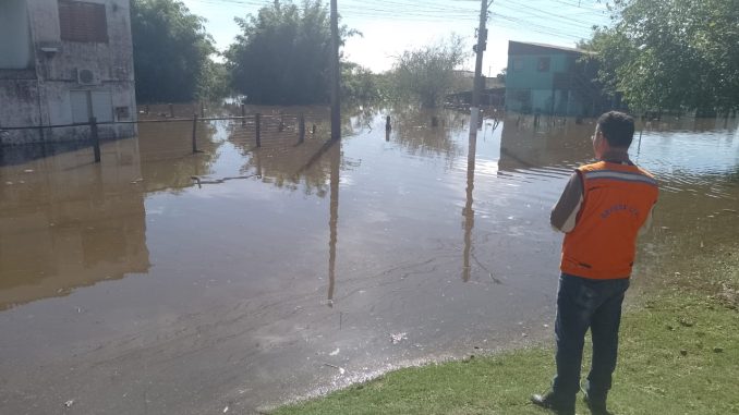 adão defesa