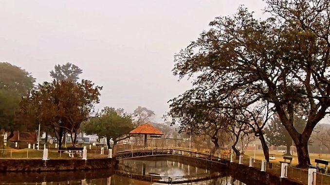 patos