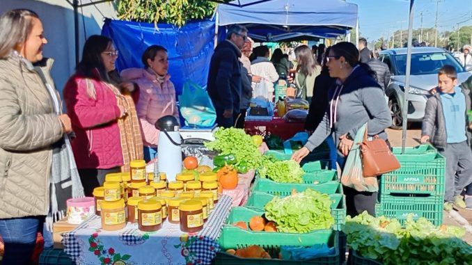 Feira do Produtor (5)