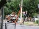Eletricista no alto de um poste e caminhões com braço mecânico em rua arborizada, durante serviço na rede elétrica