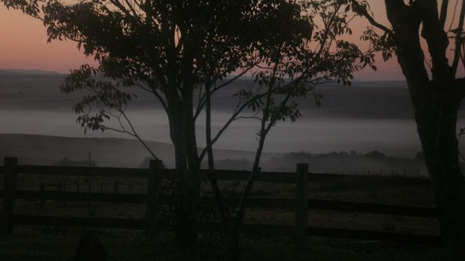 Amanhecer no campo do Pampa gaúcho, com céu alaranjado sobre a paisagem