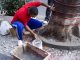 Árvore plantada em calçada, com concreto cobrindo o solo ao redor do tronco